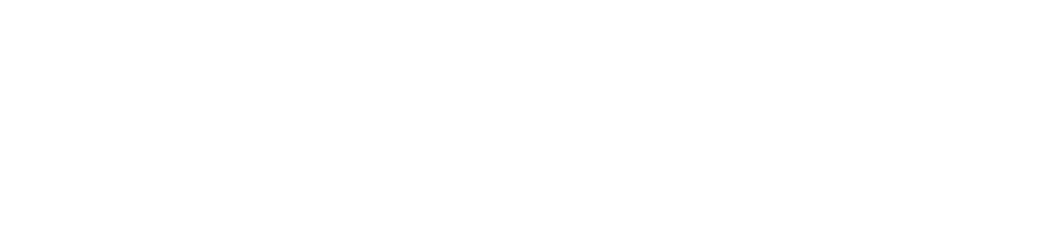 Clever Net Systems